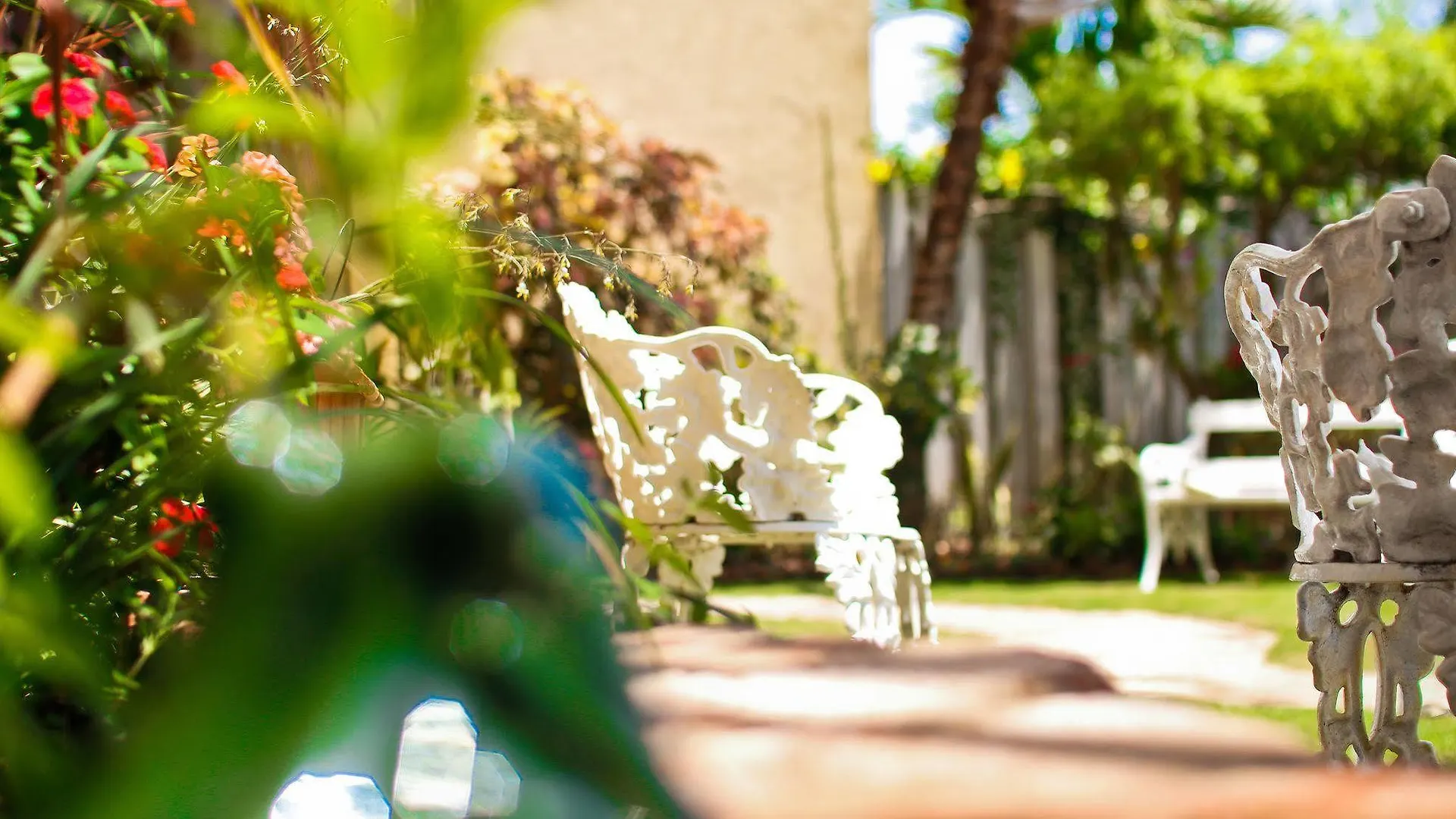 Pensionat Cattleya Luxury Suites Kingston