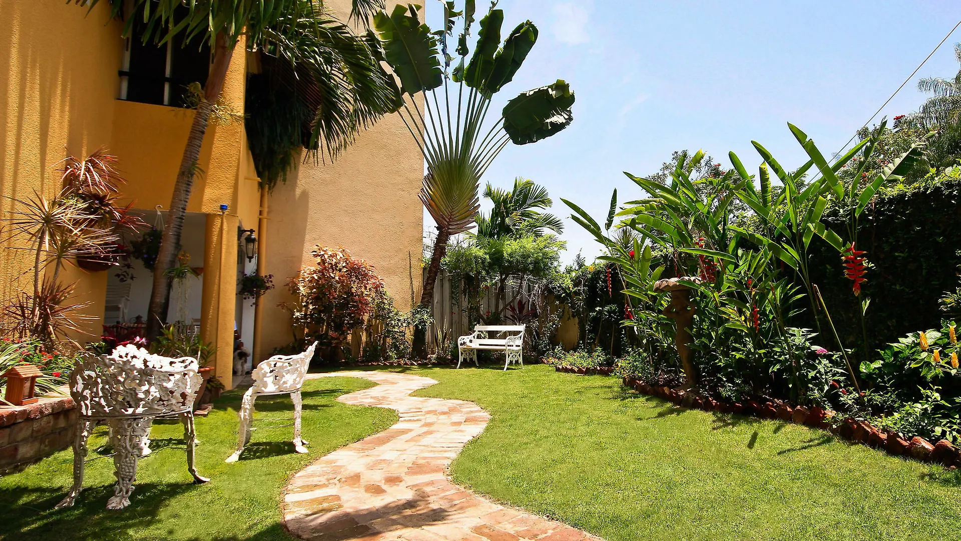 Cattleya Luxury Suites Kingston Jamaica
