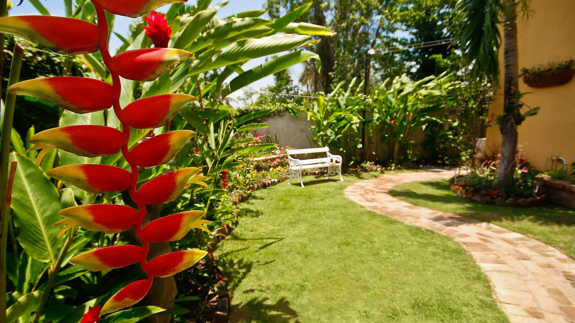 Cattleya Luxury Suites Kingston 3*,  Jamaica